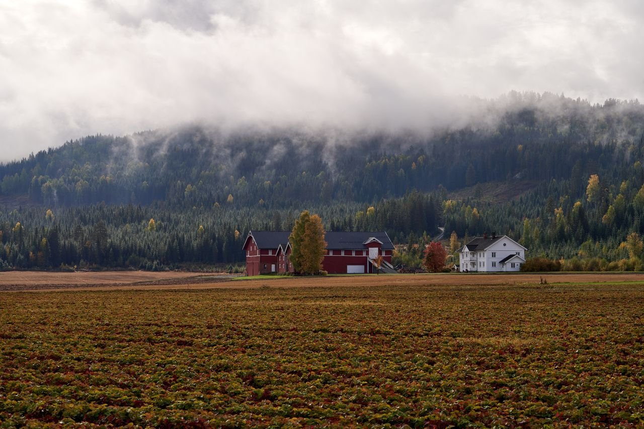 Sample — 1 bigha valley-view farmhouse plot, Morni